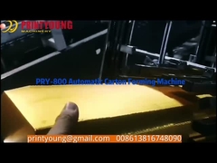 เครื่องขึ้นรูปกล่องผลไม้ PRY-800 พร้อมเซอร์โวมอเตอร์